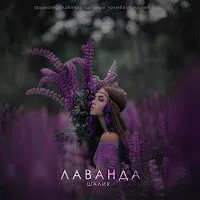 Шалих — Лаванда — обложка